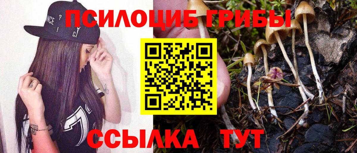 Галлюциногенные грибы MAGIC MUSHROOMS  Вход с VPN  Мичуринск 