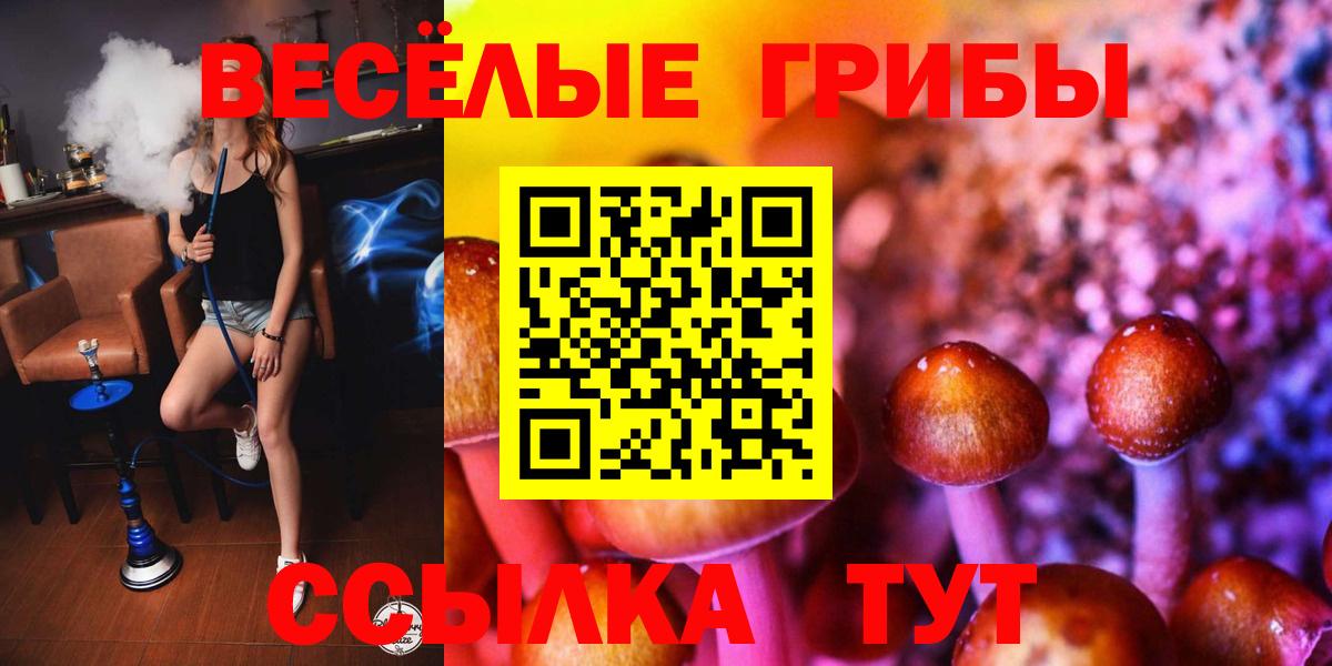 Псилоцибиновые грибы Psilocybine cubensis Мичуринск