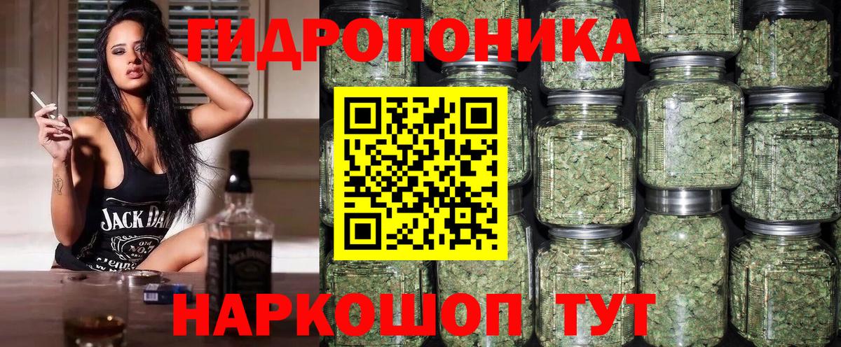 Марихуана конопля  Канабис план  Вход с VPN  Мичуринск  Конопля OG Kush 